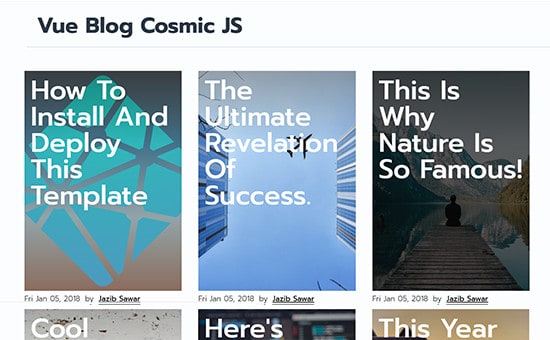 porfolio-vueblog1